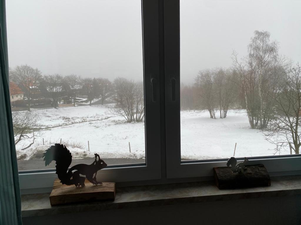 Urlaubshaus-Braunlage Wg 3 Apartment ภายนอก รูปภาพ